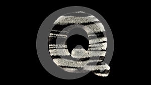 Animated furry Zebra zoo text typeface Q