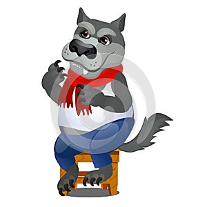 Animated gray wolf sitting on a wooden stool isolated on white background. Vector cartoon close-up illustration.