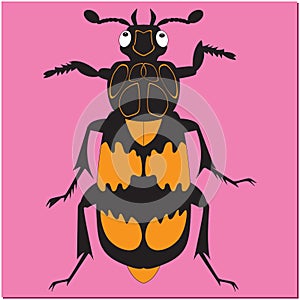 Animated insect beetle gravedigger