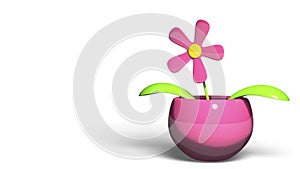Animated pink flower on white