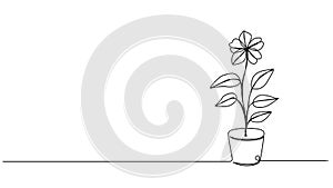 animated single line drawing of potted flower