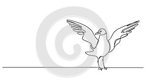 animated single line drawing of standing seagull, wings spread
