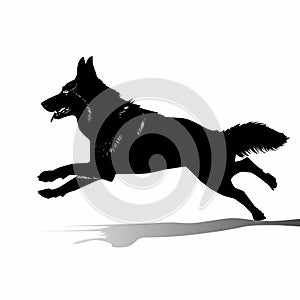 Animated vector illustration of a running german shepherd dog animal on a white background