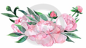 Animated watercolor pink peony. Bouquet with flowers and leaves appears from center screen.