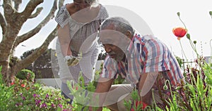 Animation of african american senior couple gardening, planting flowers