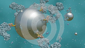 animation of antibody-conjugated magnetic nanoparticles