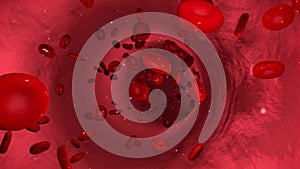 Animation of bloodstream with blood cells