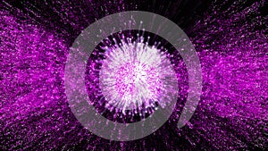 Animation of buon anno text in pink with pink new year firework exploding in night sky