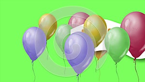 Animation - celebration balloons flying on the green screen