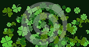 Animation of clover falling on St. Patrick`s Day. Clover four-leafed and three-leafed. Horizontal composition, 4k video quality