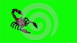 animation in comic style -  forest scorpion in an aggressive posture isolated on green screen