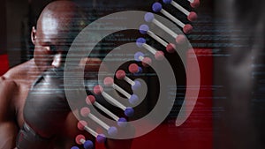 Animation of digital interface with rotating dna strand and data processing over boxer training