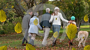 Animation of fall leaves falling over back view of multigeneration caucasian family in autumn park