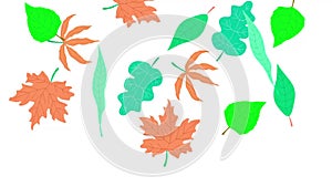 Animation of falling autumn leaves on a white background.