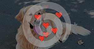 Animation of falling hearts over golden retriever