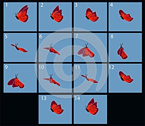 Animation of flaing butterfly photo