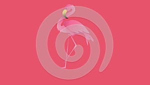 Animation of flamingo over blue abstract pattern on pink background