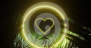 Animation of flashing heart and yellow neon ring, over palm leaves on black background