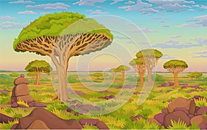 Animation landscape: African valley, dragon blood trees, withered grass, cloudy sky.