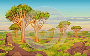 Animation landscape: African valley, dragon blood trees, withered grass, cloudy sky.