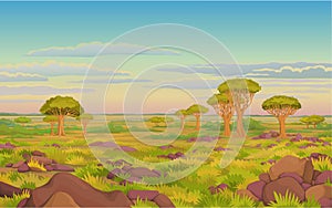 Animation landscape: African valley, dragon blood trees, withered grass, cloudy sky.
