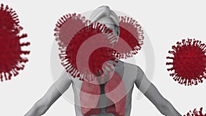 Animation of macro of red coronavirus cells. Global medicine public health pandemic coronavirus outbreak concept