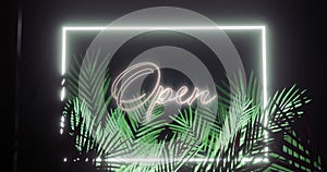 Animation of open text and frame in white neon, with palm leaves on black background