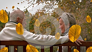 Animation of orange autumn leaves falling over happy senior caucasian couple in park