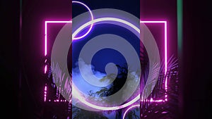 Animation of pink neon square divided by blue neon ring, with palm leaves on black background