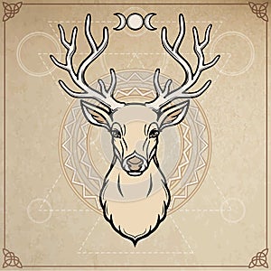 Animation portrait of a horned deer - spirit of the wood. Pagan deity.
