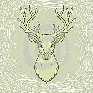 Animation portrait of a horned deer. Wood spirit, pagan deity.