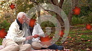 Animation of red autumn leaves falling over happy senior caucasian couple in park