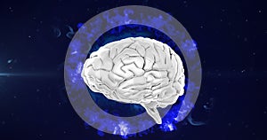 Animation of spinning human brain over blue glowing digital waves against black background