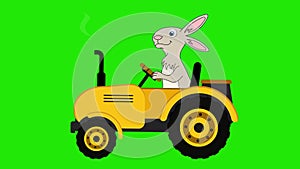 Animation of yellow tractor with Rabbit. Bunny or Hare is a tractor driver. Cartoon tractor moving. Easter. Alpha channel. 4K