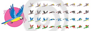 Animations the bird is flying. Parrot Animations. Set of Sprite bird flies.