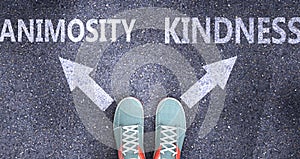 Animosity and kindness as different choices in life - pictured as words Animosity, kindness on a road to symbolize making decision