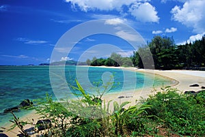 Anini Beach photo