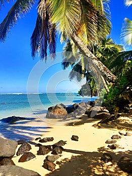 Anini Beach on the island of Kauai Hawaii