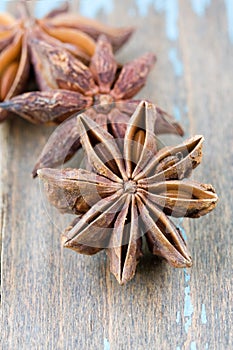 Anise aniseed star