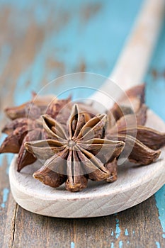 Anise aniseed star