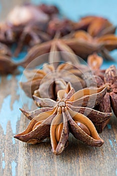 Anise aniseed star