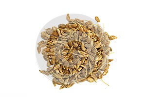 Anise Seed