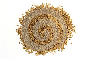 Anise Seed