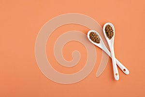 Anise seed seasoning in two ceramic spoons - Pimpinella anisum