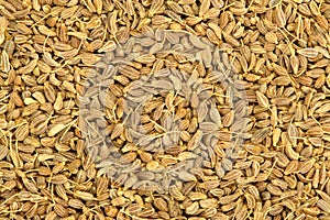 Anise Seed Texture