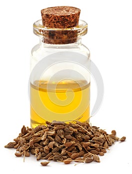 Anise seeds with essential oil in a jar