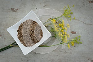 Anise seeds and flower on plate