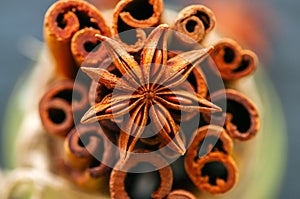 Anise star and bundle of cinnamon sticks.