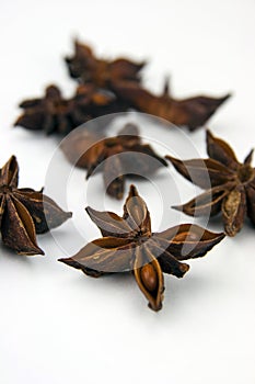 Anise star (Illicium verum) isolated on white background.