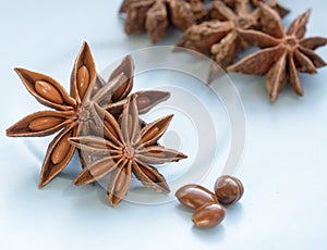Anise star and seeds